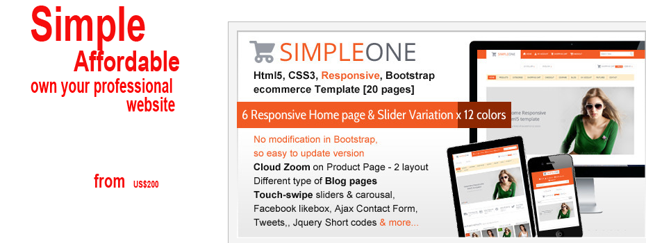 wordpress simple website package